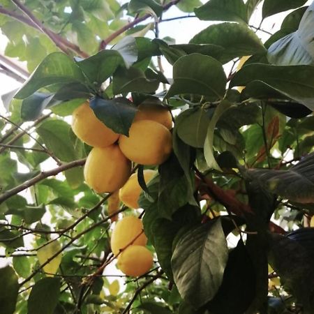 El Limonar De La Ribera Parking Disponible De Pago Apartment กอร์โดบา ภายนอก รูปภาพ